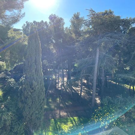 Bandol - Plage De Renecros Экстерьер фото