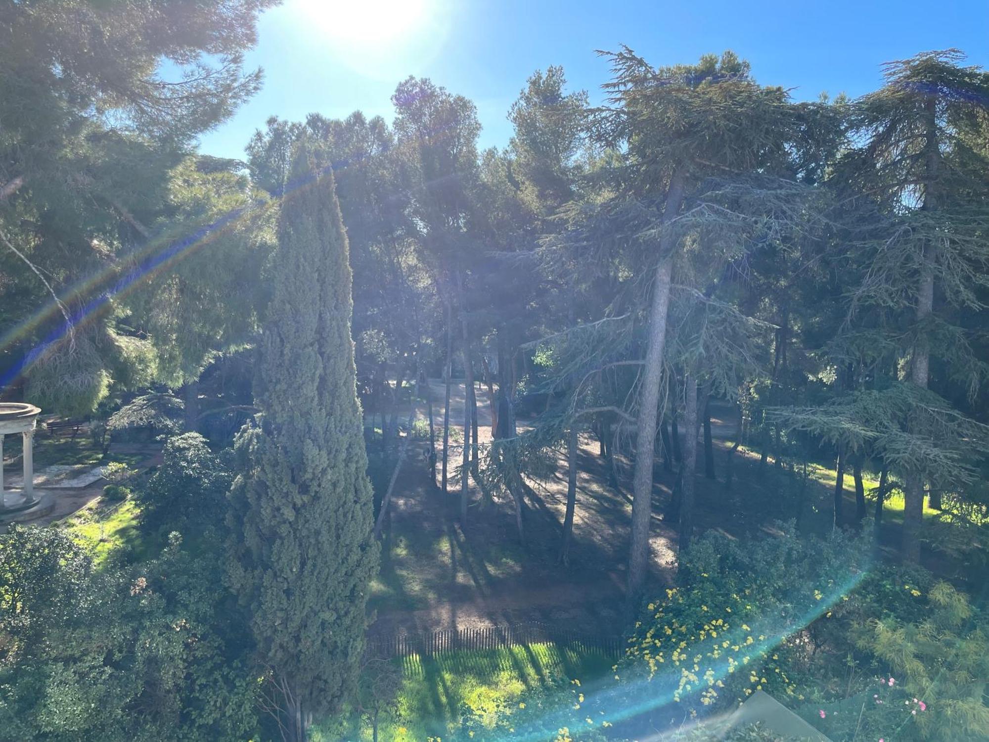 Bandol - Plage De Renecros Экстерьер фото